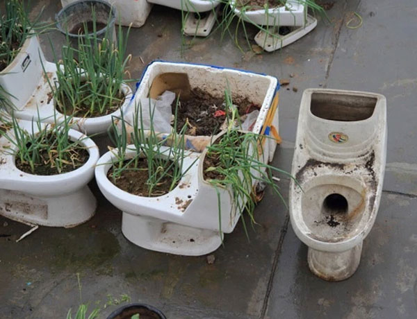 bon-cau-chau-hoa-2 Bien bon cau thanh noi trong hanh