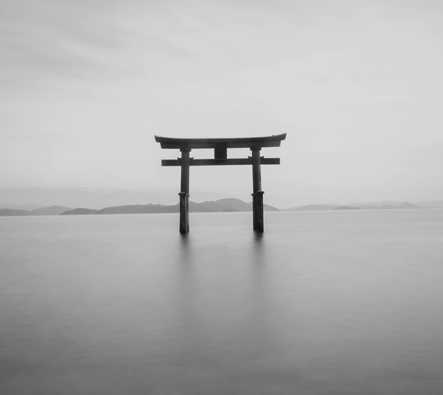 cong-torii cong torii