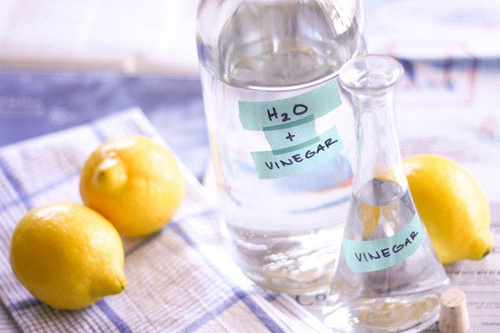 ve-sinh-thiet-bi-ve-sinh-chat-lieu-inox-bang-chanh-va-giam-an Giấm ăn và chanh có tác dụng tẩy rửa chất bẩn