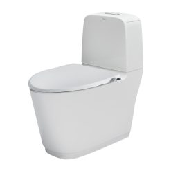 Bồn cầu nắp rửa cơ inax AC-832+CW-S15VN