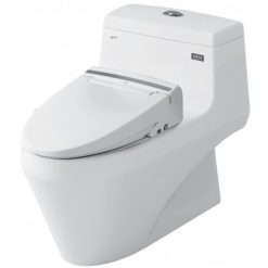 Bồn cầu nắp rửa điện tử Inax AC-1035+CW-KB22AVN