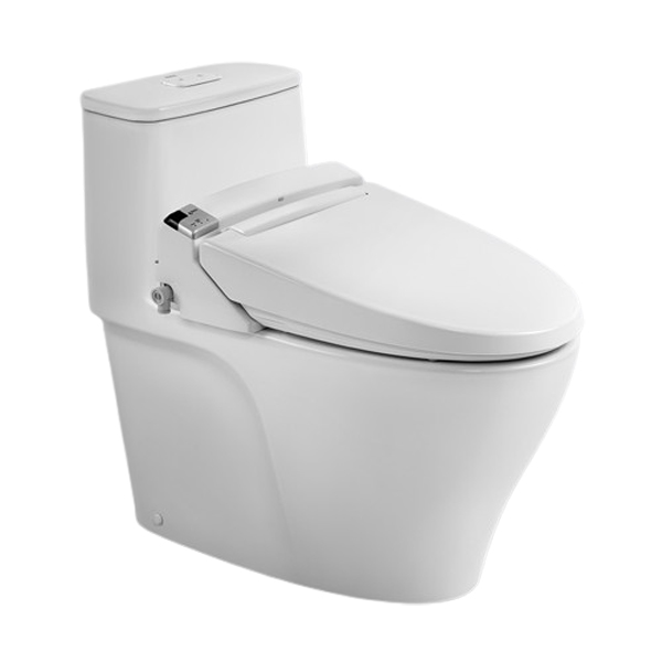 Bồn cầu Inax AC-989+CW-KA22AVN