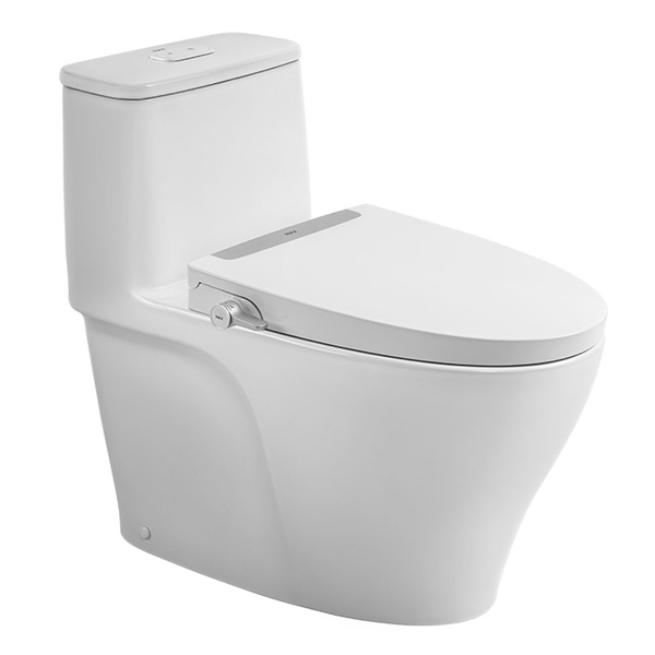 Bồn cầu nắp rửa cơ Inax AC-989+CW-S32VN