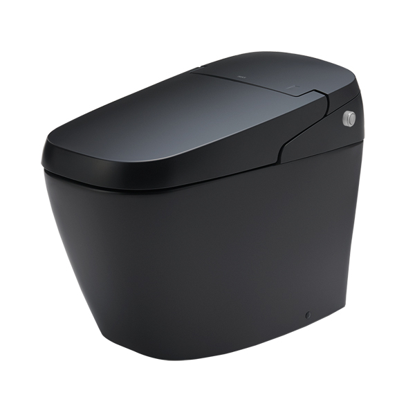 Bồn cầu thông minh Inax AC-G216VN/BKG