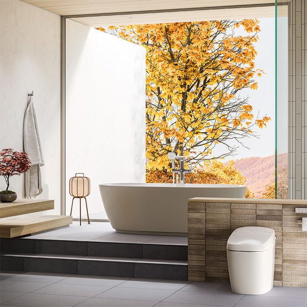 Bồn cầu điện tử Inax AC-G216VN