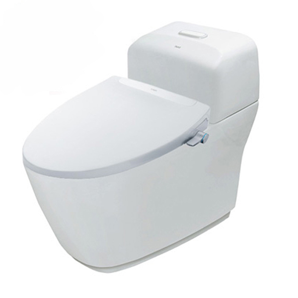 bồn cầu nắp rửa thông minh INAX AC-1032VN+CW-S32VN