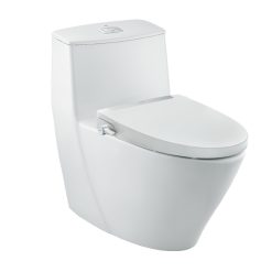 Bồn cầu nắp rửa cơ Inax AC-919R+CW-S32VN