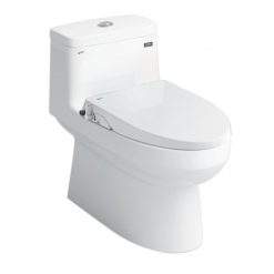 Bồn cầu nắp rửa cơ Inax AC-939+CW-S15VN