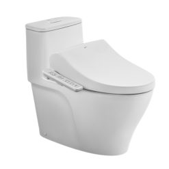 Bồn cầu Inax AC-989+CW-H17VN