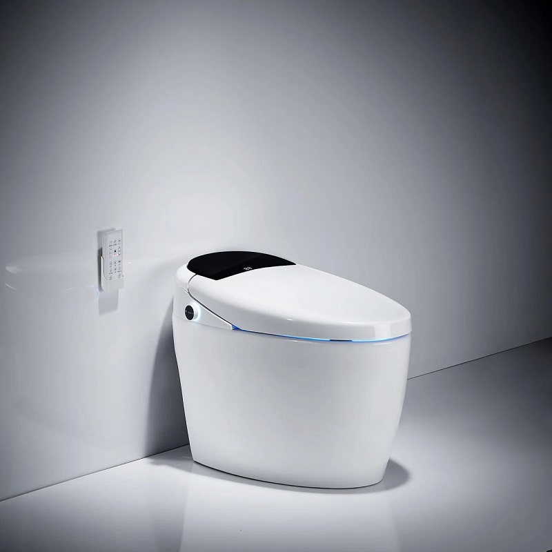 bon-cau-thong-minh-mang-den-khong-gian-sang-trong bon cau thong minh mang den khong gian sang trong