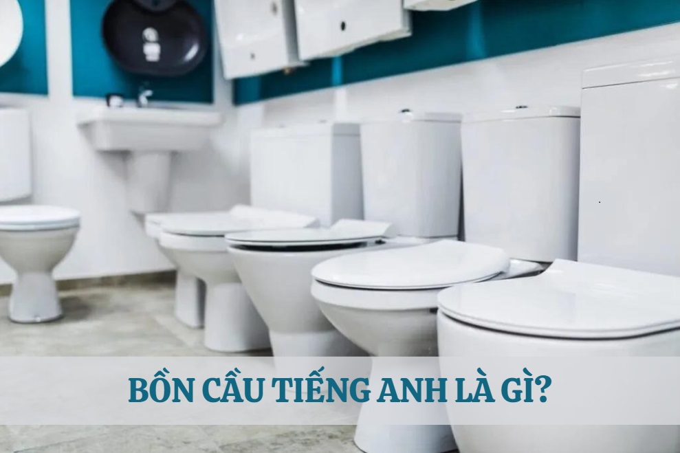 bon-cau-tieng-anh-goi-la-gi bon cau tieng anh goi la gi