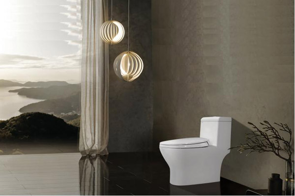 bon-cau-viglacera-1 bon cau Viglacera 1