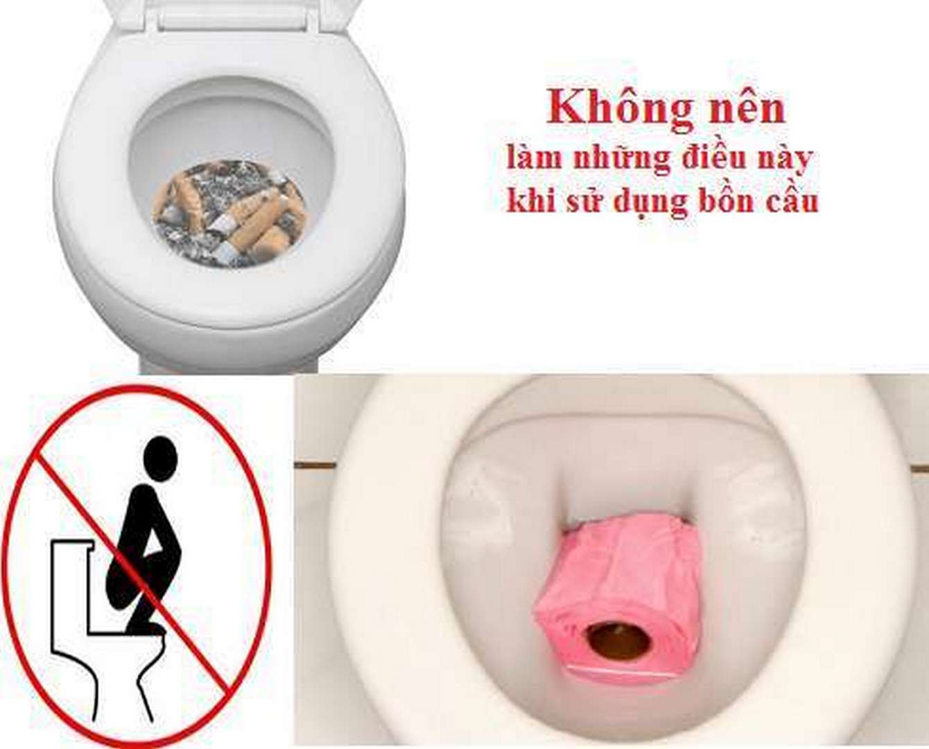 cau-tao-bon-cau-inax-7 Các hành động làm ảnh hưởng đến tuổi thọ của bồn cầu Inax