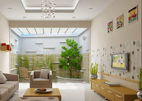 Cay canh phong khach