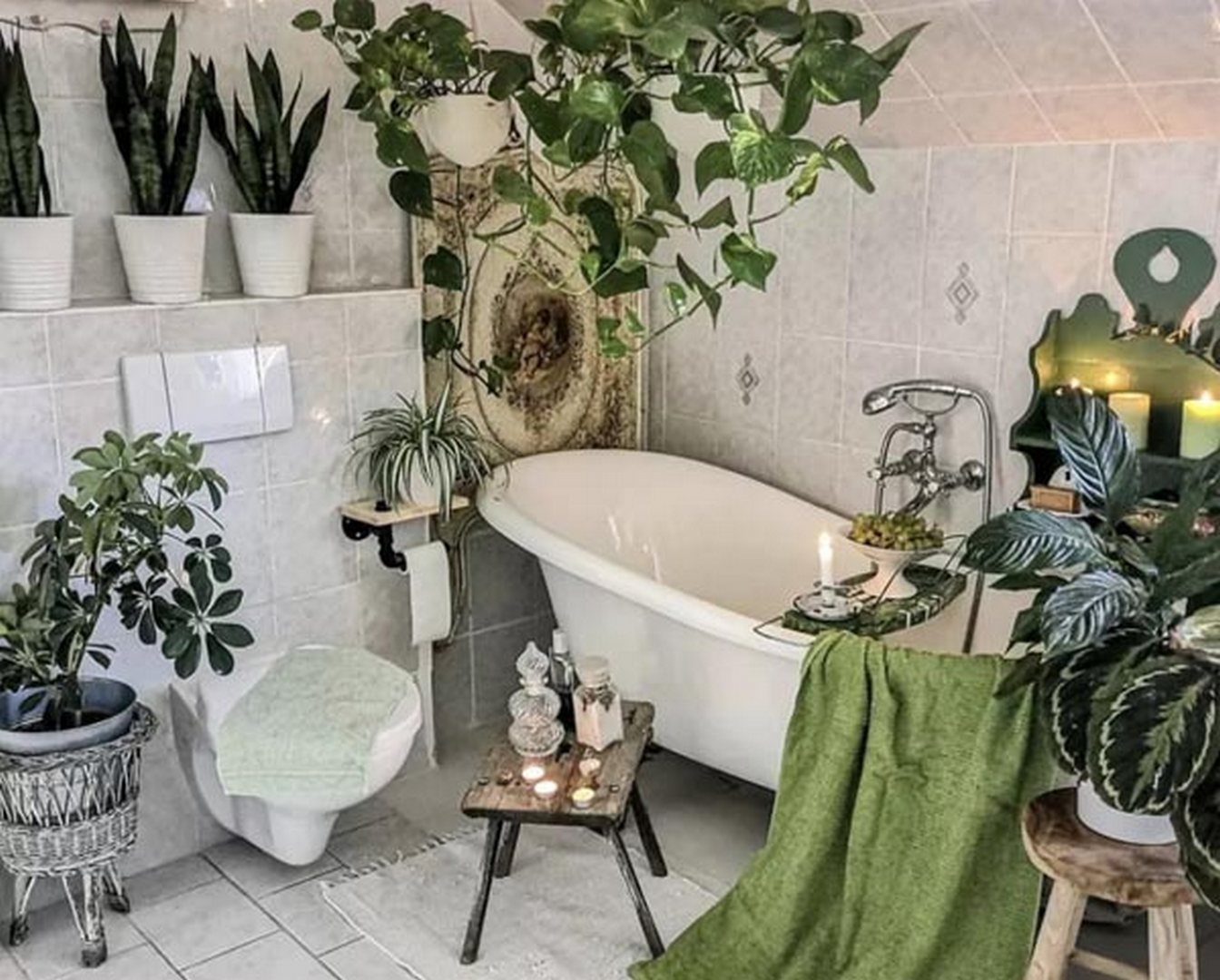 cay-xanh-trong-phong-tam cay xanh trong phong tam