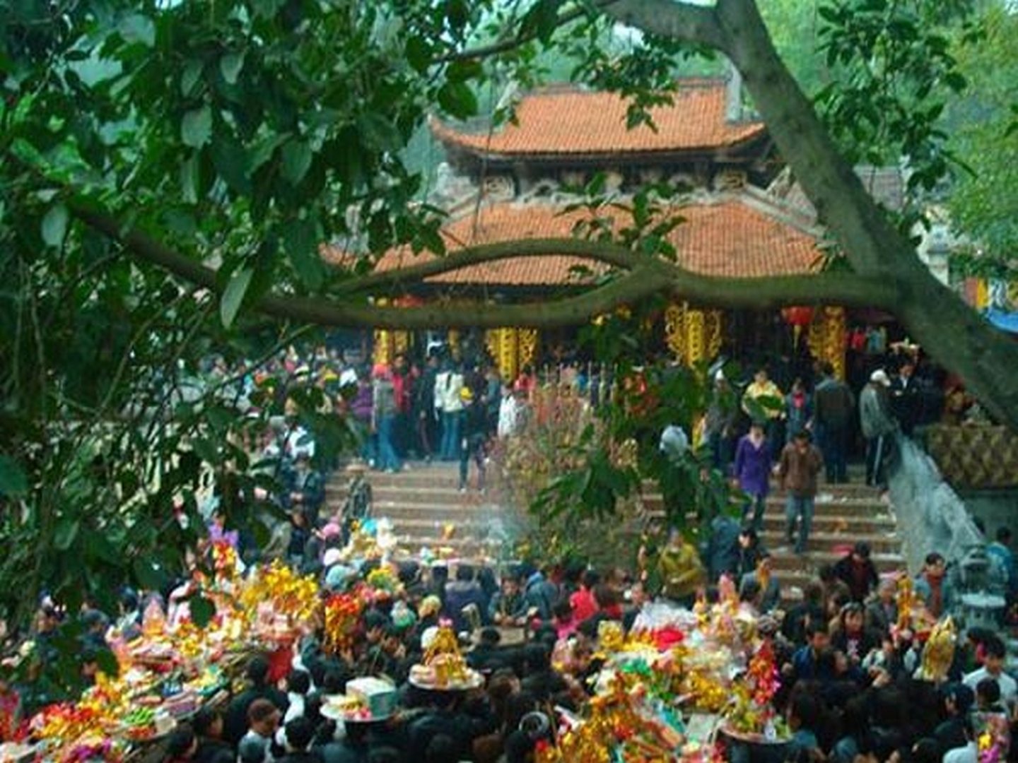 hai-loc-dau-nam hai loc dau nam