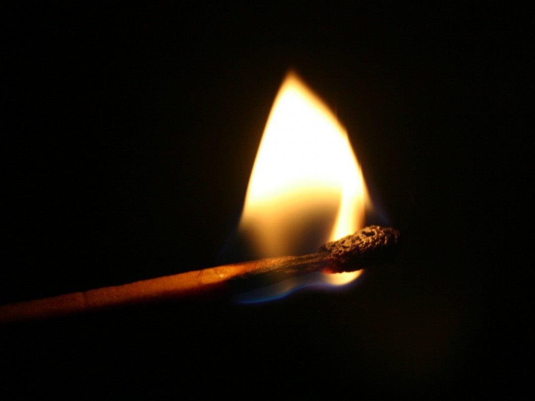 khong-cho-lua-ngay-tet khong cho lua ngay tet