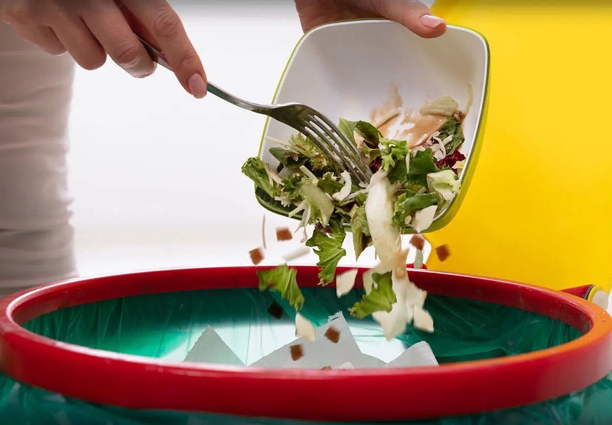 khongdo-thuc-an-thua khongdo thuc an thua