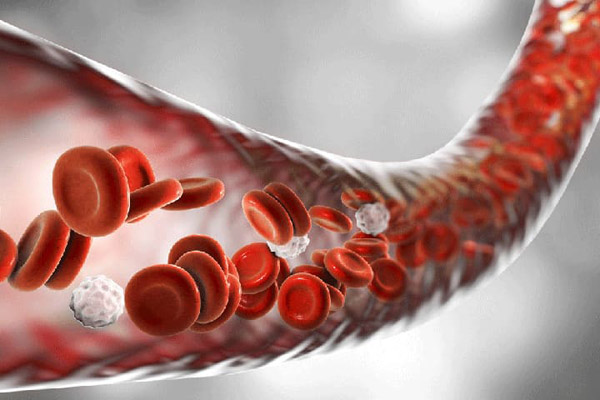 luu-thong-mau Tam buoi sang giup luu thong mau