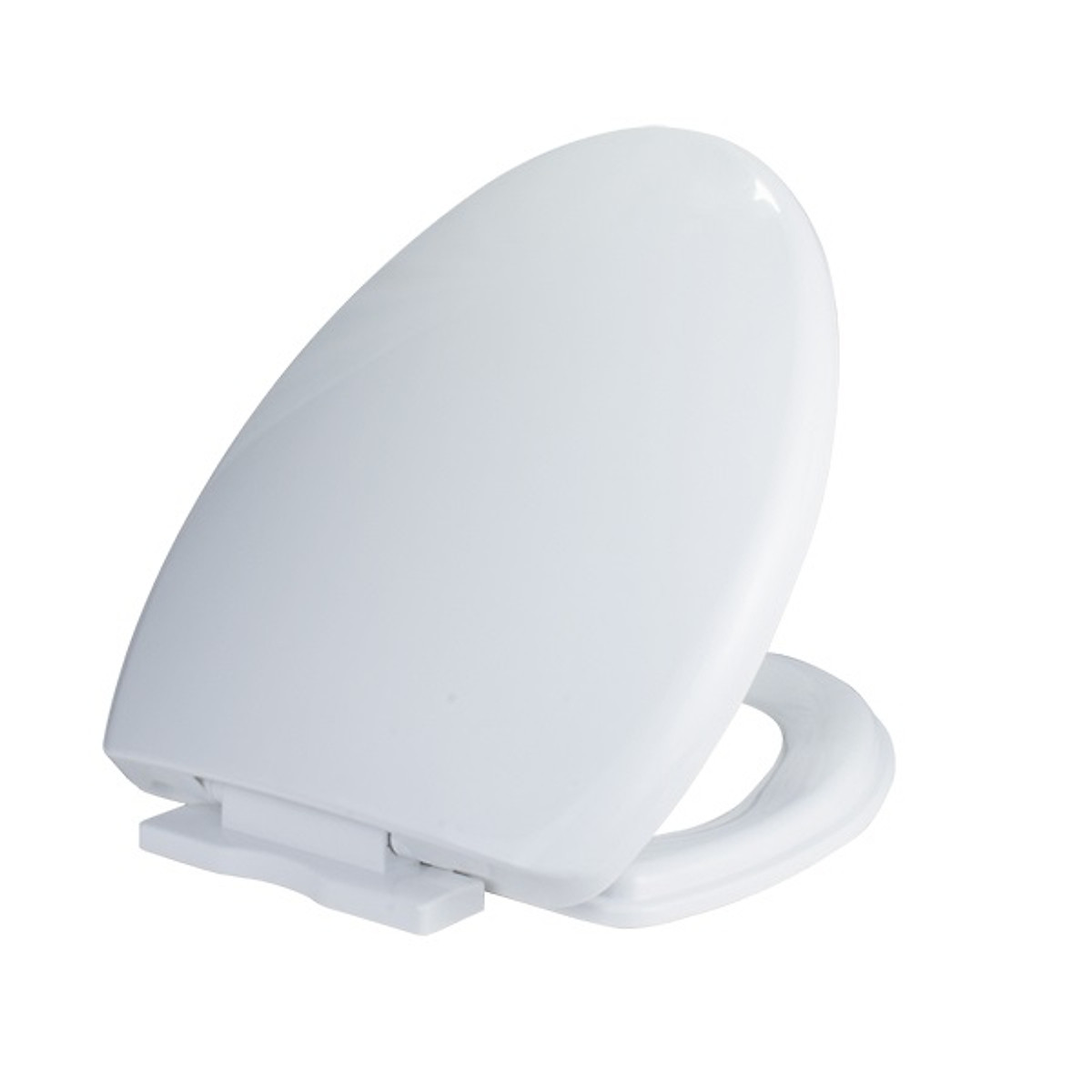 nap-bon-cau-thuong nắp bồn cầu thường