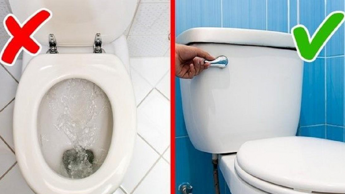 nen-dong-nap-bon-cau-khi-xa-nuoc nên đóng nắp bồn cầu khi xả nước
