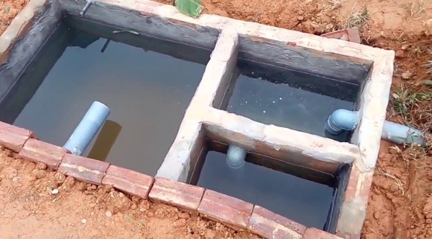 nguyen-nhan-co-the-do-be-phot nguyen nhan co the do be phot