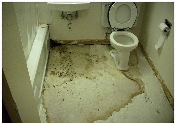 nha-ve-sinh-bi-tham-1 nha ve sinh bi tham 1