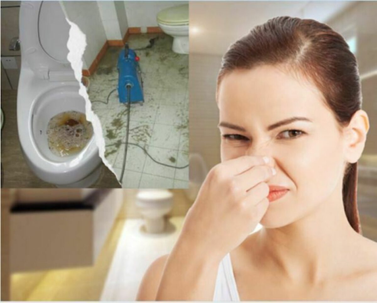 nha-ve-sinh-nang-mui nha ve sinh nang mui