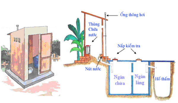 Nha ve sinh tham dot