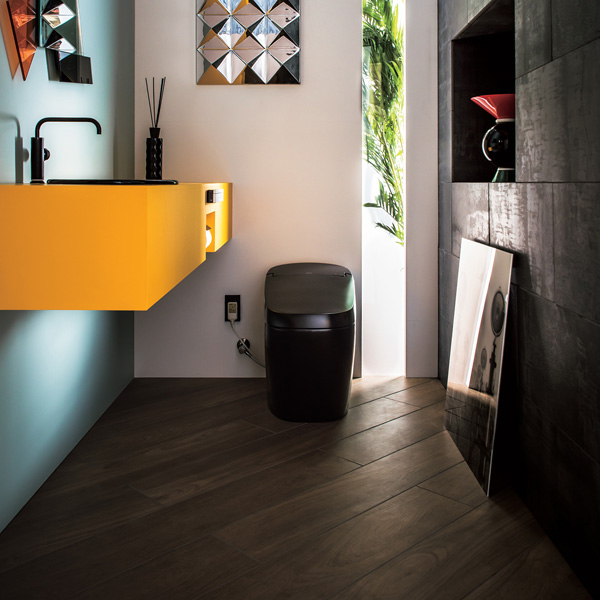 Bồn cầu thông minh Inax AC-G216VN/BKG