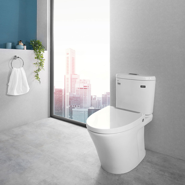 Bồn cầu 2 khối Inax AC-700VAN