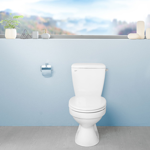 Bồn cầu Inax 2 khối C-117VA