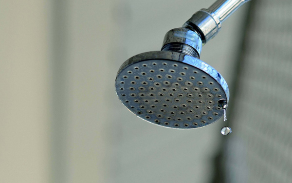 sen-voi-chay-nuoc-yeu Sen voi chay nuoc yeu