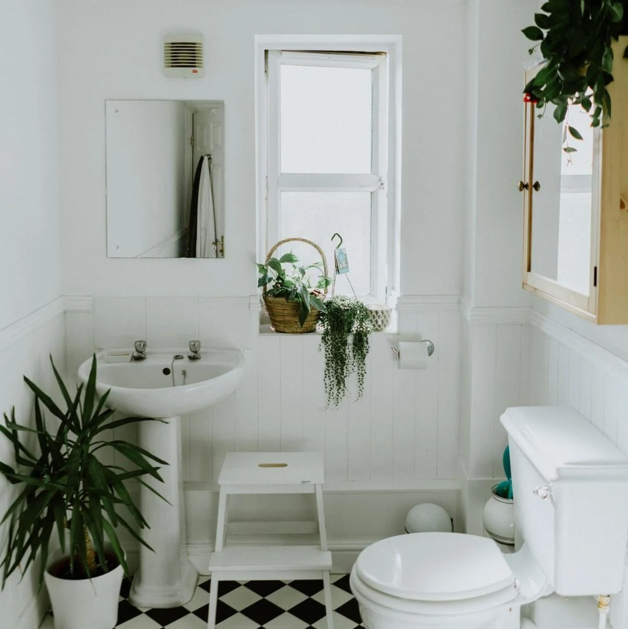 su-dung-cay-xanh-lam-moi-khong-gian-nha-tam Sử dụng cây xanh làm mới cho không gian nhà tắm