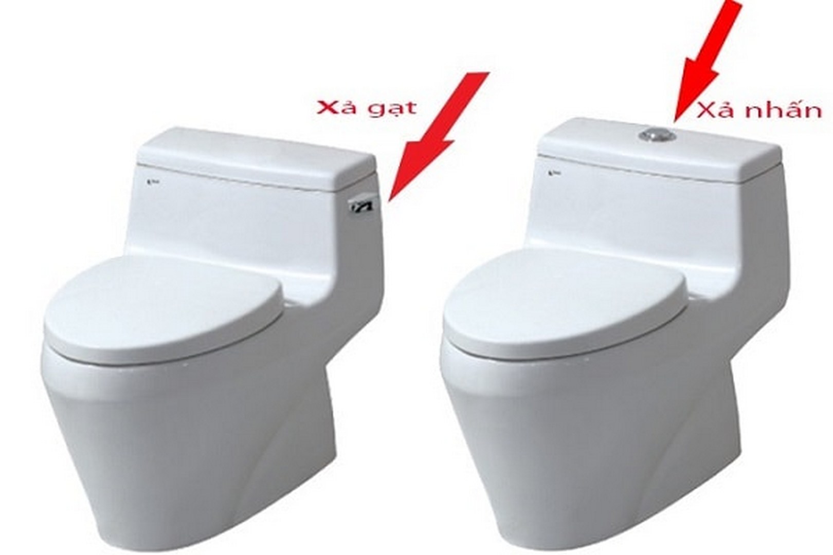 tat-tan-tat-nhung-dieu-quan-trong-nhat-ve-bon-cau-1-khoi-inax-1 tat tan tat nhung dieu quan trong nhat ve bon cau 1 khoi inax 1