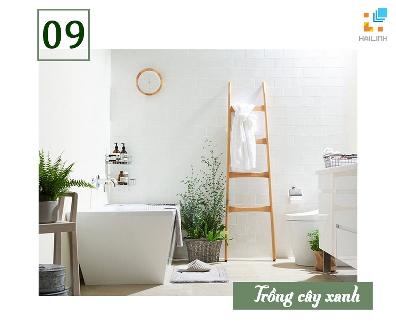 trong-cay-xanh Trồng cây xanh trong nhà