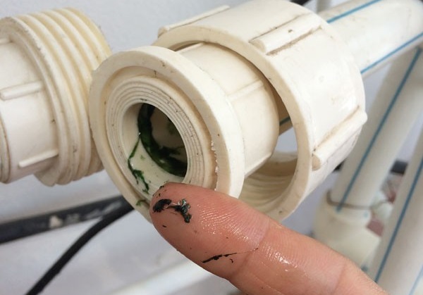 ve-sinh-ong-nuoc Ve sinh ong nuoc