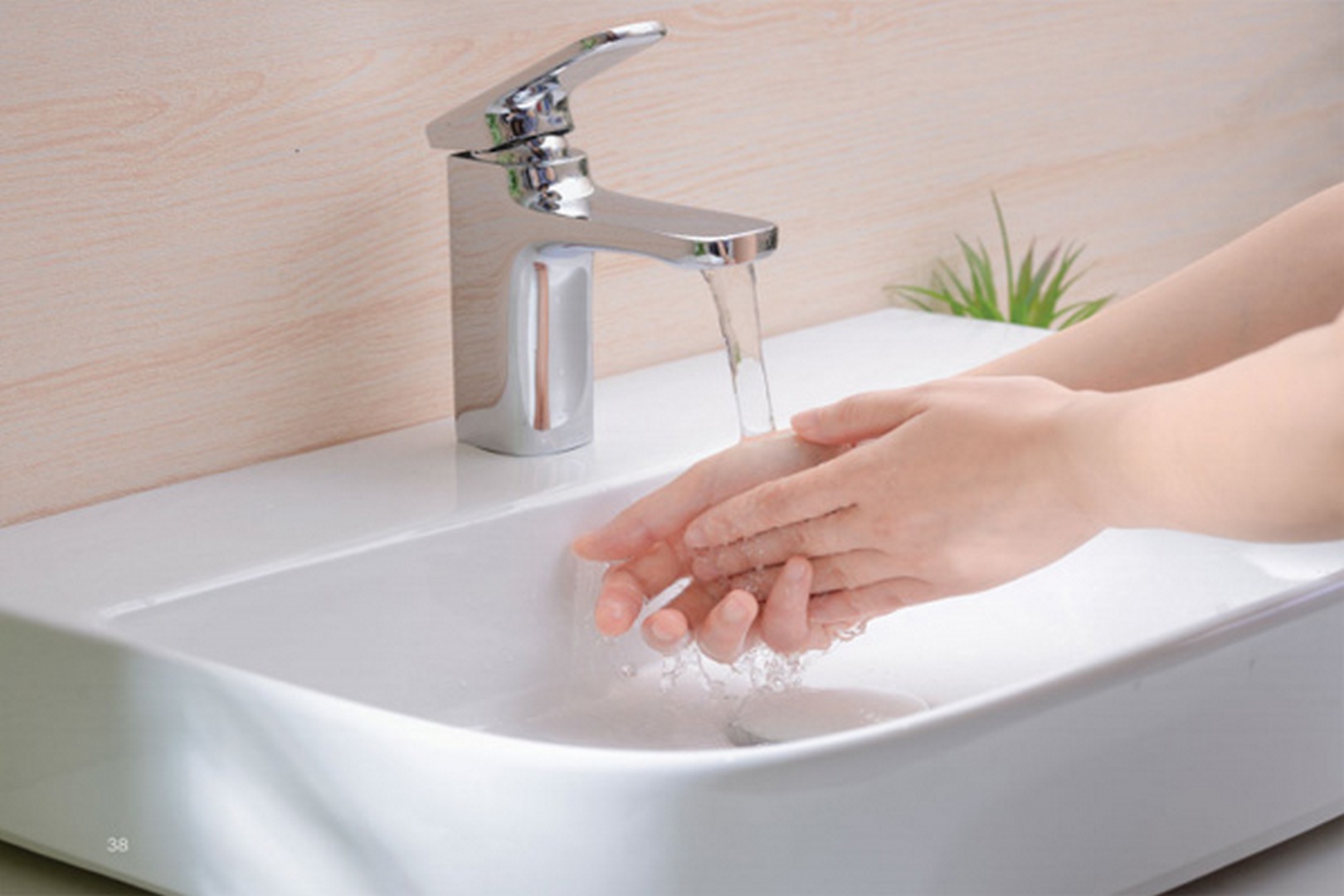 voi-chau-dep-2 voi chau dep 2