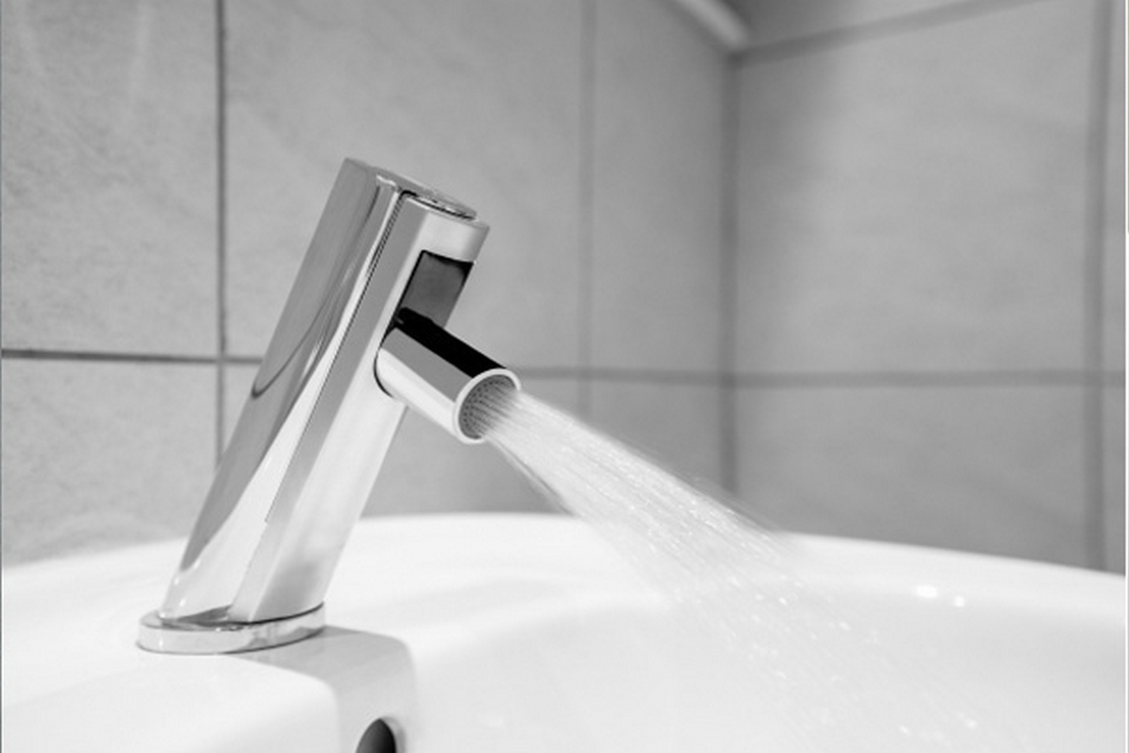 voi-chau-dep voi chau dep