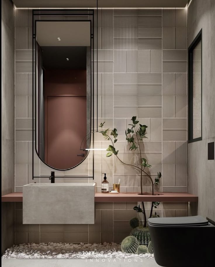 chau-rua-hinh-vuong-4 chau rua hinh vuong 4