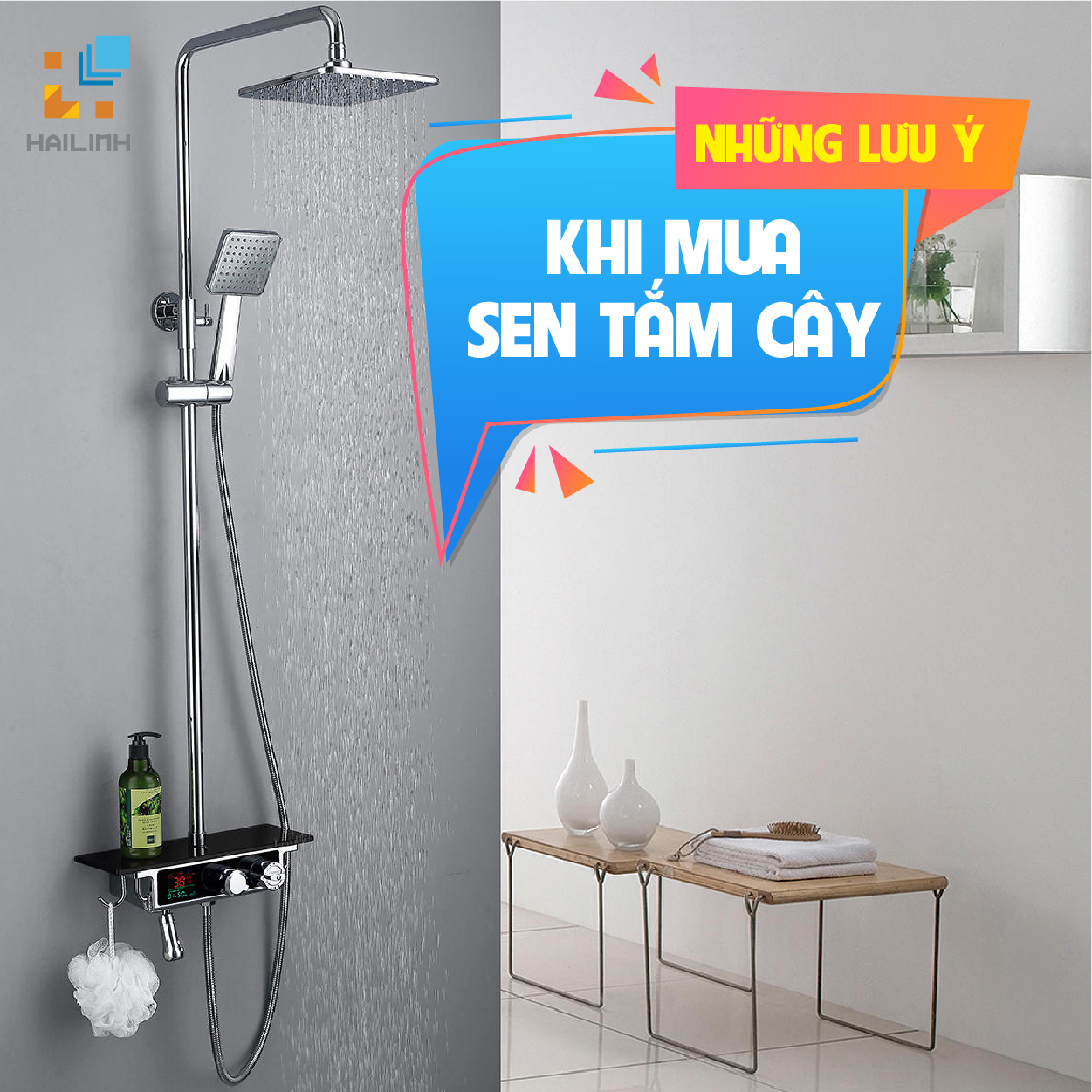 nhung-luu-y-khi-mua-sen-tam-cay-tren-thi-truong nhung luu y khi mua sen tam cay tren thi truong