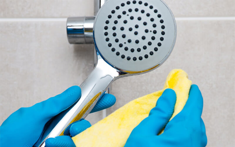 ve-sinh-sen-tam-sao-cho-hieu-qua ve sinh sen tam sao cho hieu qua